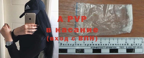 гашик Верея