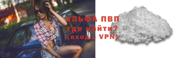 стафф Володарск