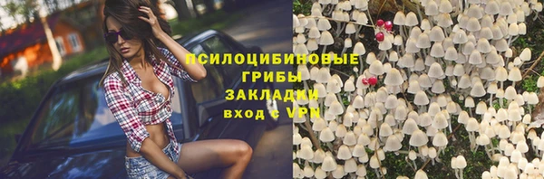 гашик Верея
