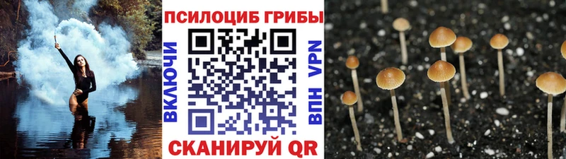 Псилоцибиновые грибы ЛСД  Карталы 